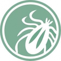 lymedisease.org